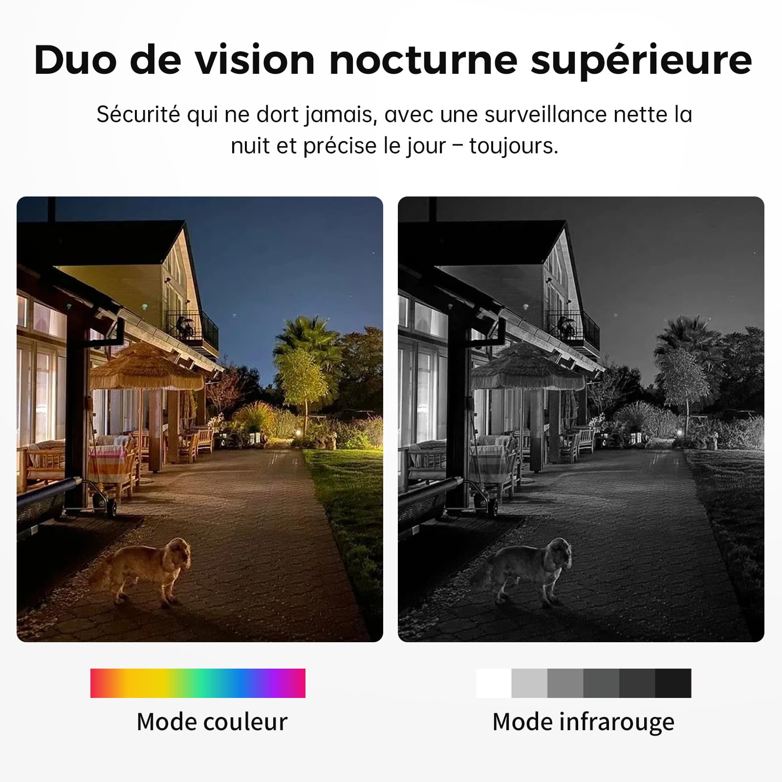 Woox Camera Exterieur Solaire avec éclairage Mural, 2K Caméra Surveillance WiF Exterieure sans Fil Batterie, éclairage Activation par Mouvement, avec Détection IA, Vision Nocturne en Couleur, IP65
