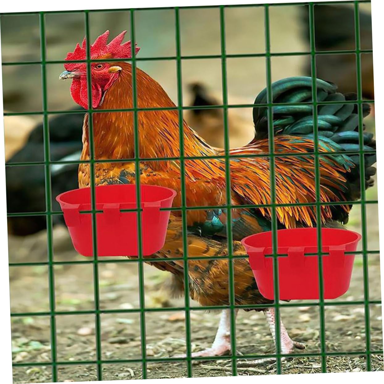 Abaodam 20pièces Mangeoires pour Cage à Oiseaux Distributeurs De Nourriture pour Perroquets Bols Léger Faciles à Nettoyer Suspendre