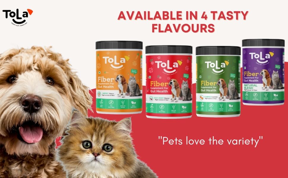 Miniatura 6 de Tola Suplemento Gut Health para perros y gatos  Sabor a zanahoria  Decoración de nutrición diaria con enzimas digestivas  Apoya la digestión, alivio