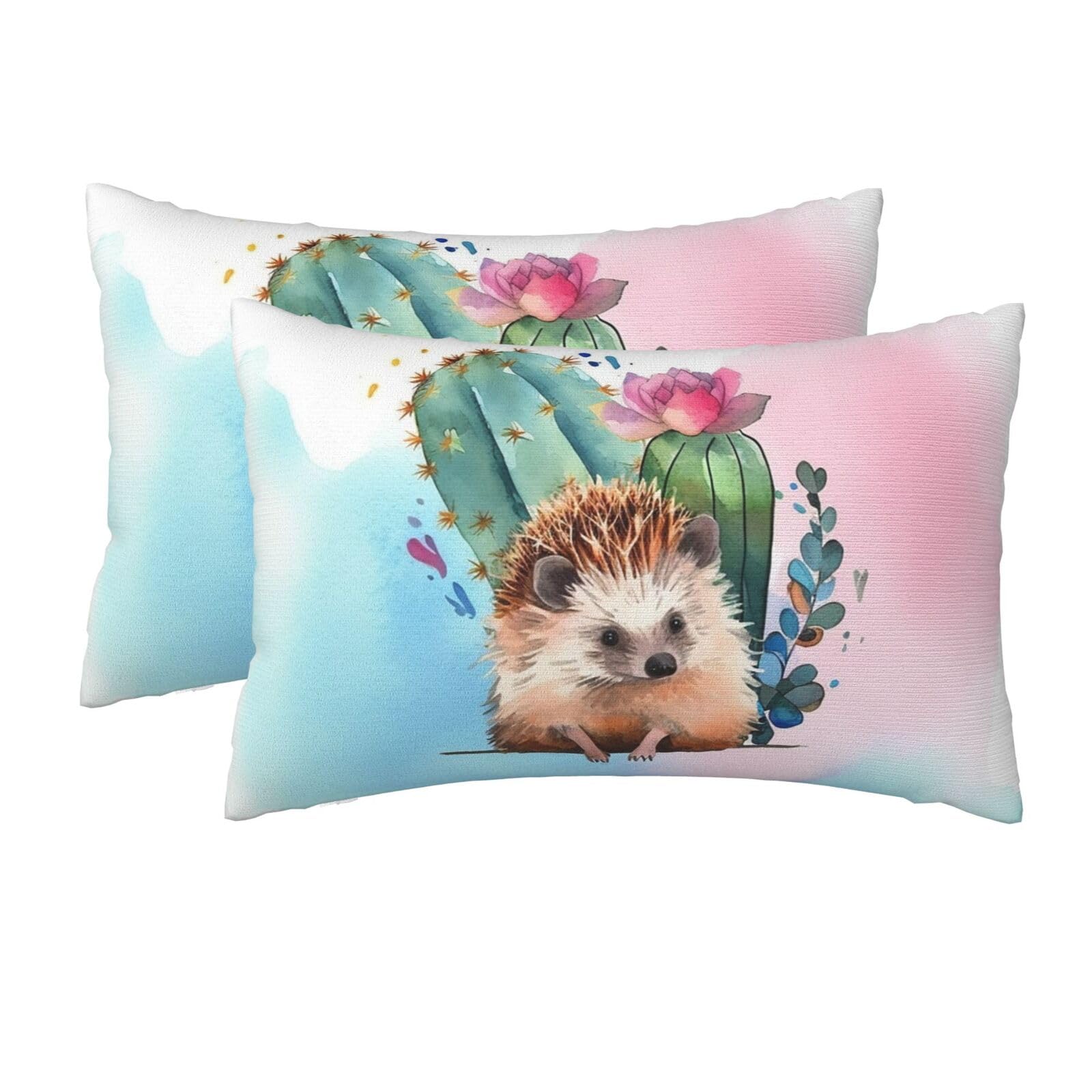2 Pack Queen Size Pillow Cases for Hair and Skin Soft Breathable Pillow Case Covers with Hidden Zipper Watercolor Hedgehog Pillowcase 20x30 Inches Pillow Cover for Sleeping Gift
