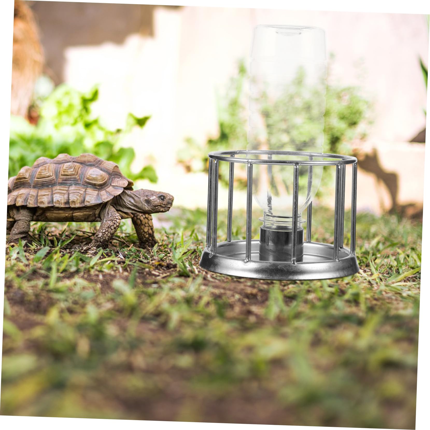 Kisangel 4piezas Bebedero Inoxidable para Reptiles Dispensador De Agua Mini para Tortugas y Plato Antisalpicaduras Accesorio Práctico y para Terrario