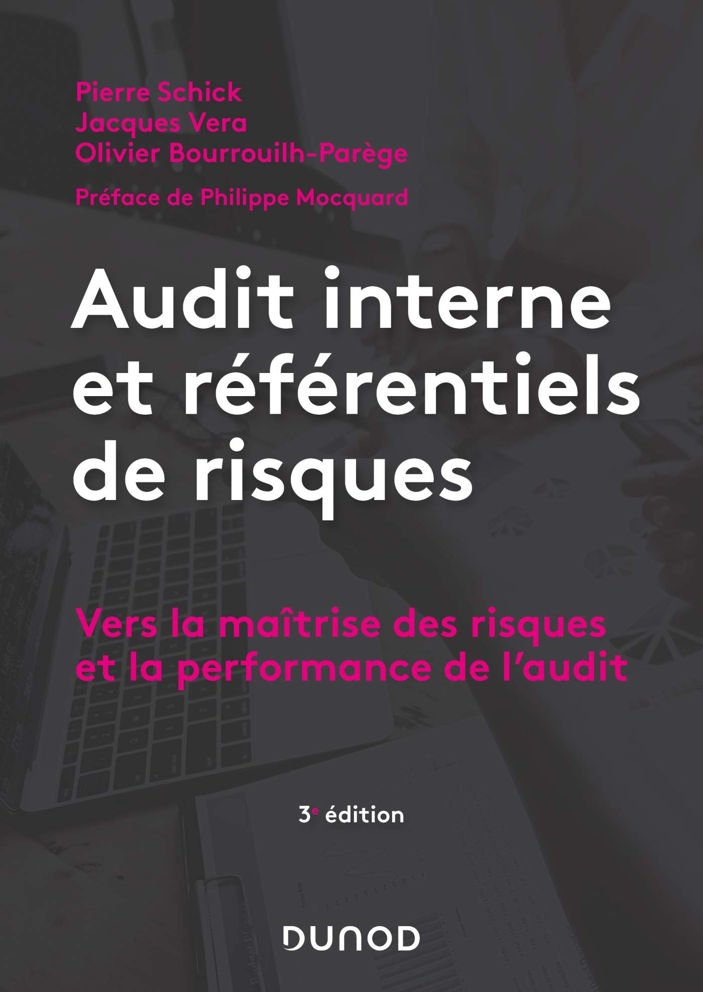 Audit interne et référentiels de risques - 3e éd. - Vers la maîtrise des risques et la performance d: Vers la maîtrise des risques et la performance de l'audit