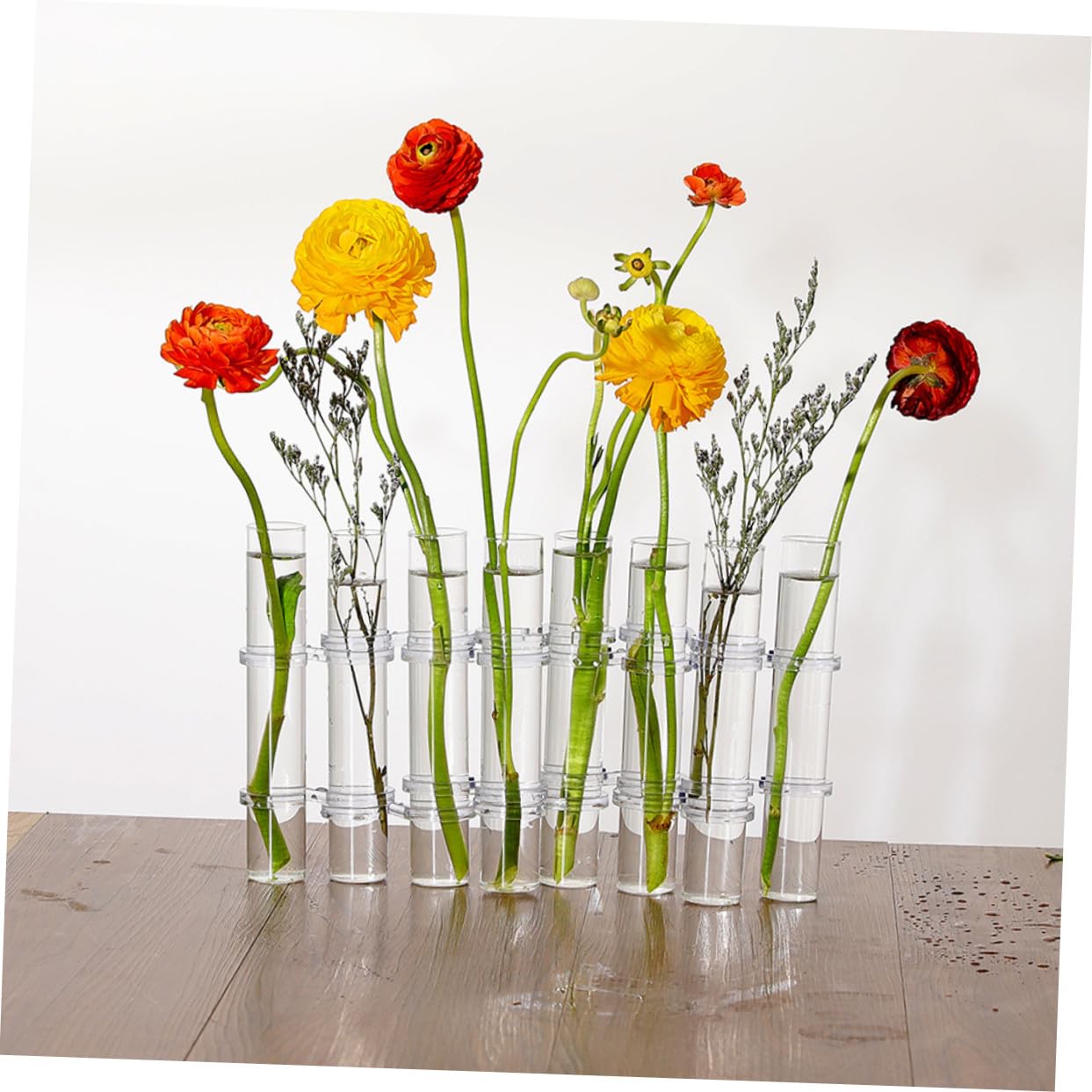 Vase Hydroponique Verre Transparent Tube de Propagation pour Plantes avec Support pour Culture Pot ou Terrarium
