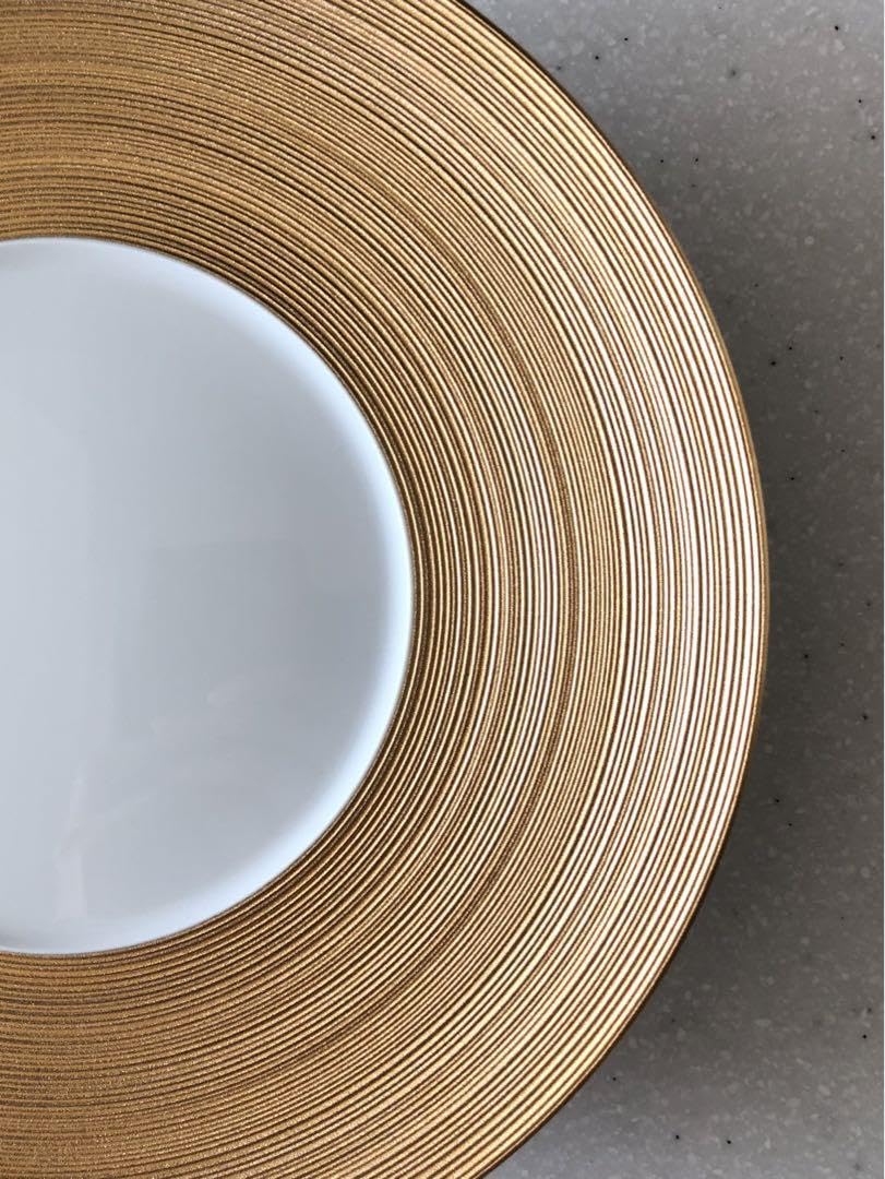 未使用】本日のみ⭐︎2枚セット希少ジャンルイコケプレートディナー