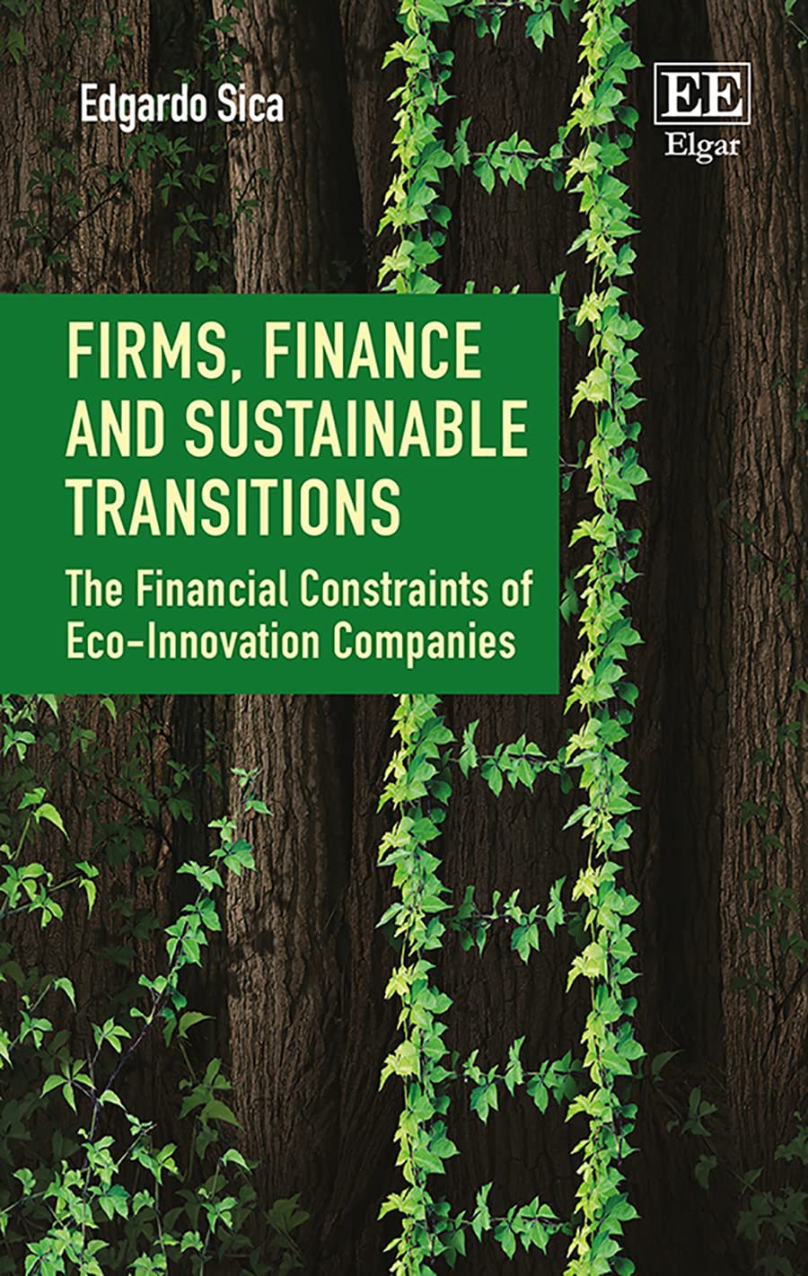 Buy Firms, Finance and Sustainable Transitions: The Financial Constraints of Eco-Innovation Companies — BookShops.in
