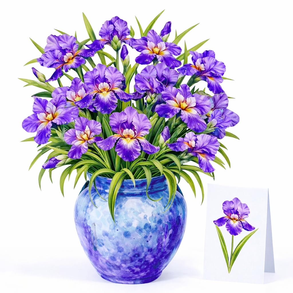 CUTPOPUP Iris Flowers Bouquet Birthday Cards for Women, 18x22.5cm 3D Flowers Card for Wife Her Girls Sister Mum Anniversary Valentines Card Happy Mothers Day Cards Pop Up (Iris Bouquet) US8-FL202UK โ image 1