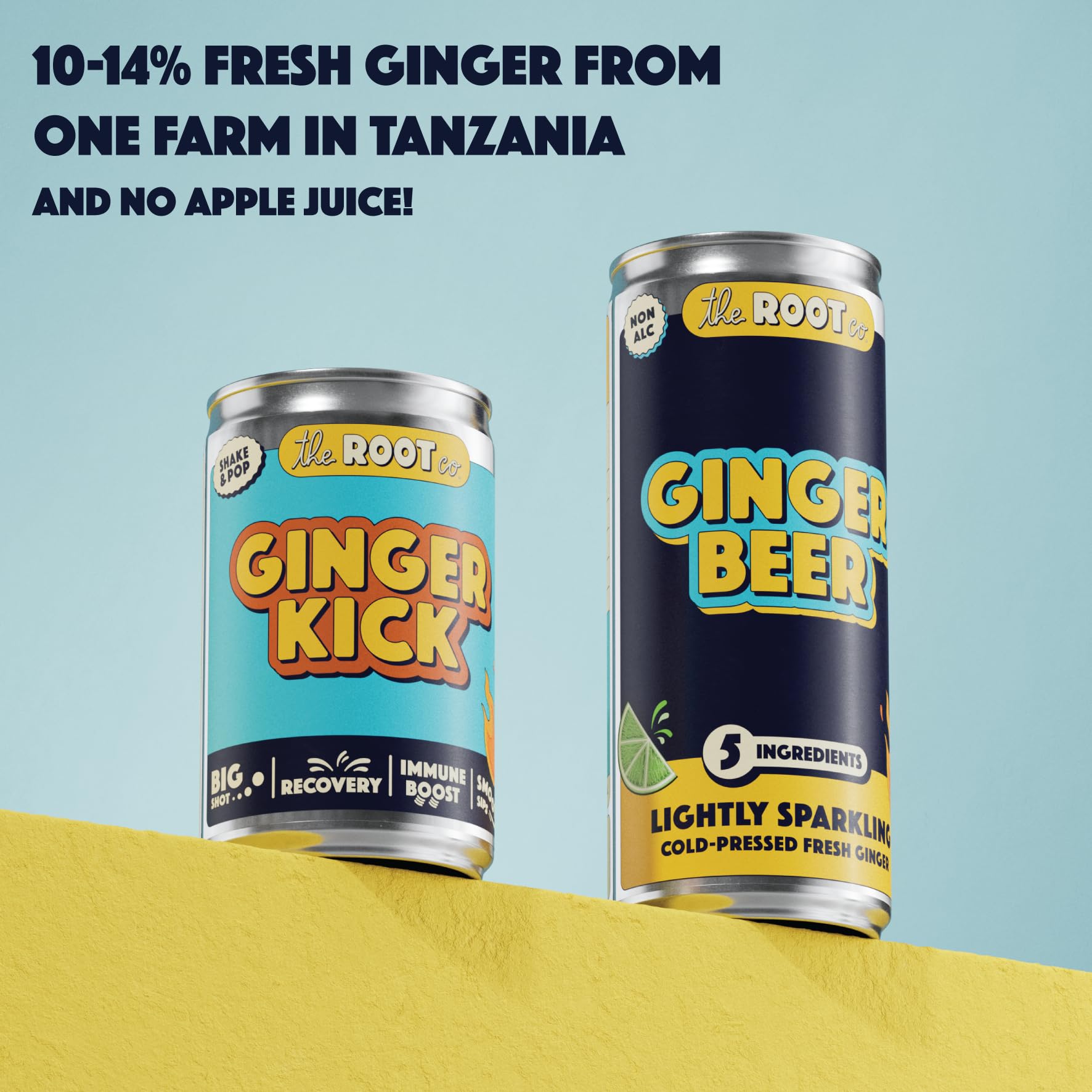 The Root Co - Ginger Kick - 12 x 140 ml pikantny wschodnioafrykański korzeń imbiru zdrowy napój - naturalny, tłoczony na zimno i pochmurny