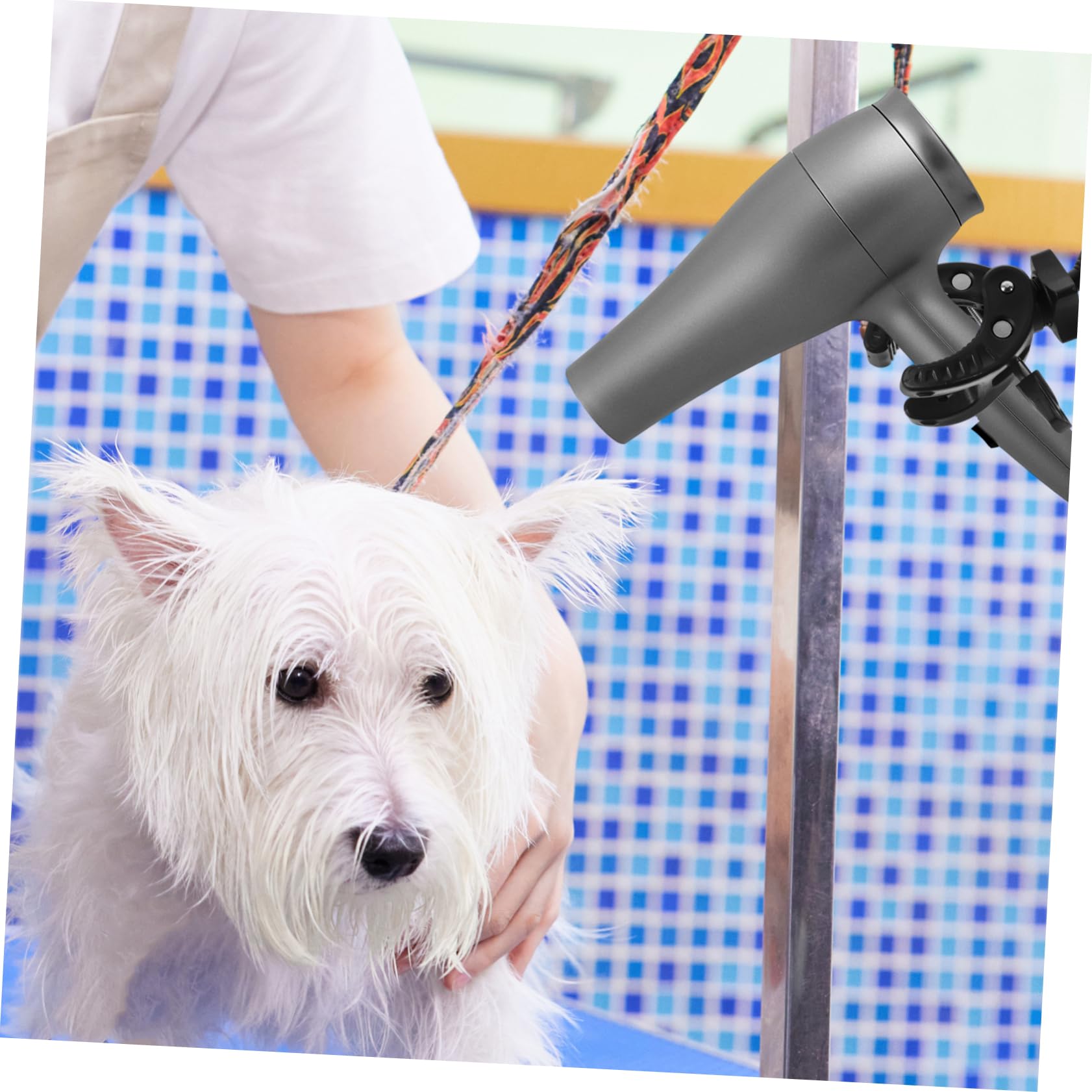 in Domestici Animali per e Asciugacapelli a Regolabile Abs e Alluminio 360, Robusto e Adatto per Uso Professionale e Domestico