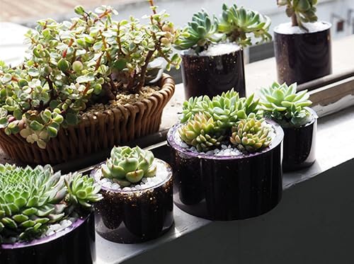 Miniatura 3 de PROKTH LOYOBTE Molde de silicona para maceta, paquete de 3 moldes de resina para suculentas, moldes de silicona para manualidades, forma redonda