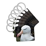3dRose, Falkland Islands. Black browed albatross, Key Chain