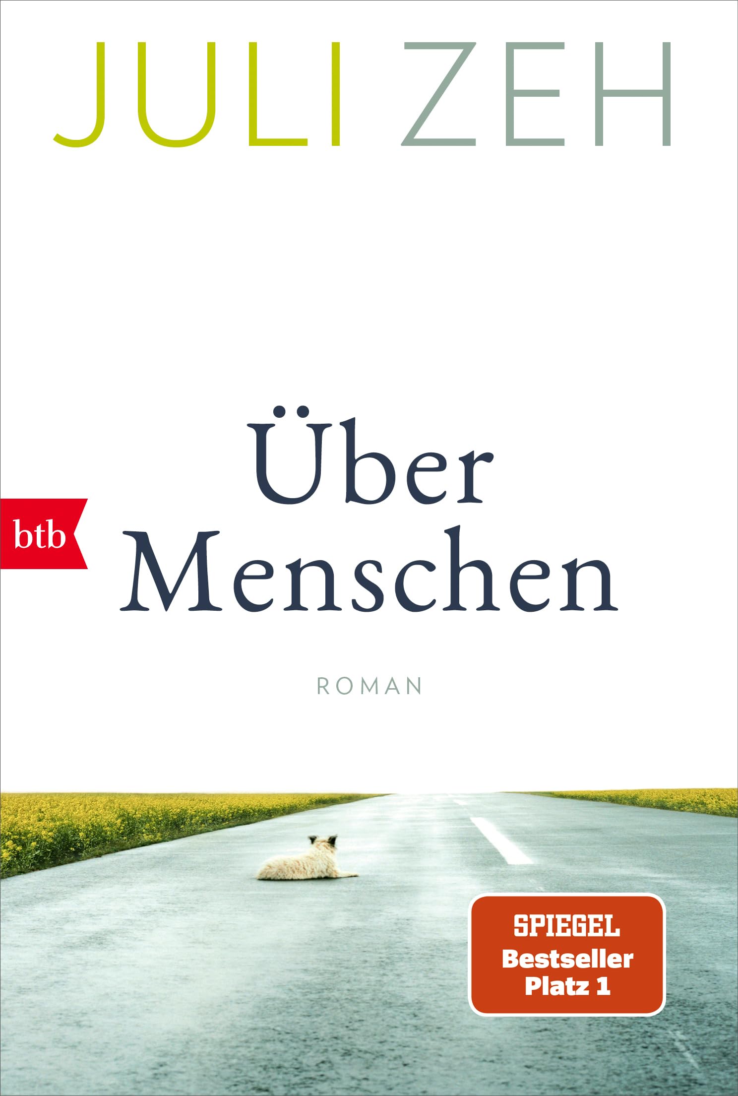 Uber Menschen: Roman