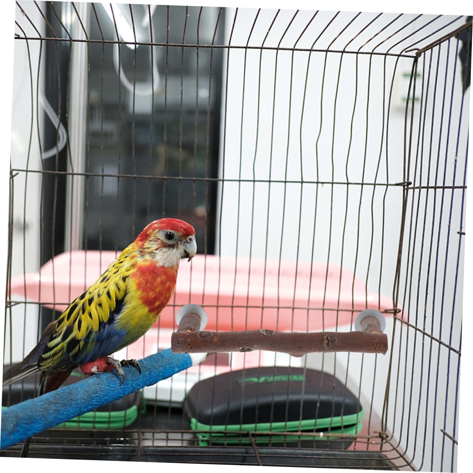 BESPORTBLE 5piezas Perchero De Madera para Aves Percha Natural para Jaula De Periquitos y Loros Juguete Interactivo para Entrenamiento y Ejercicio De Aves Mediano