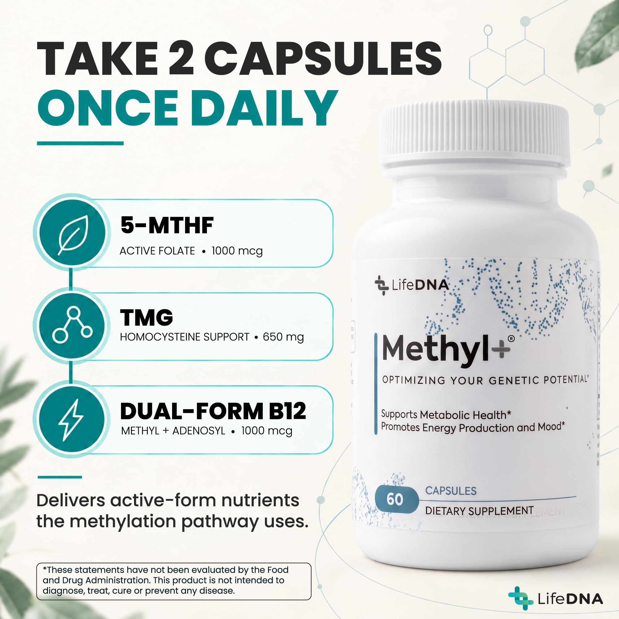 LIFEDNA Methyl + Methylfolate - Active 5-MTHF & TMG Formula — Amazon image 2