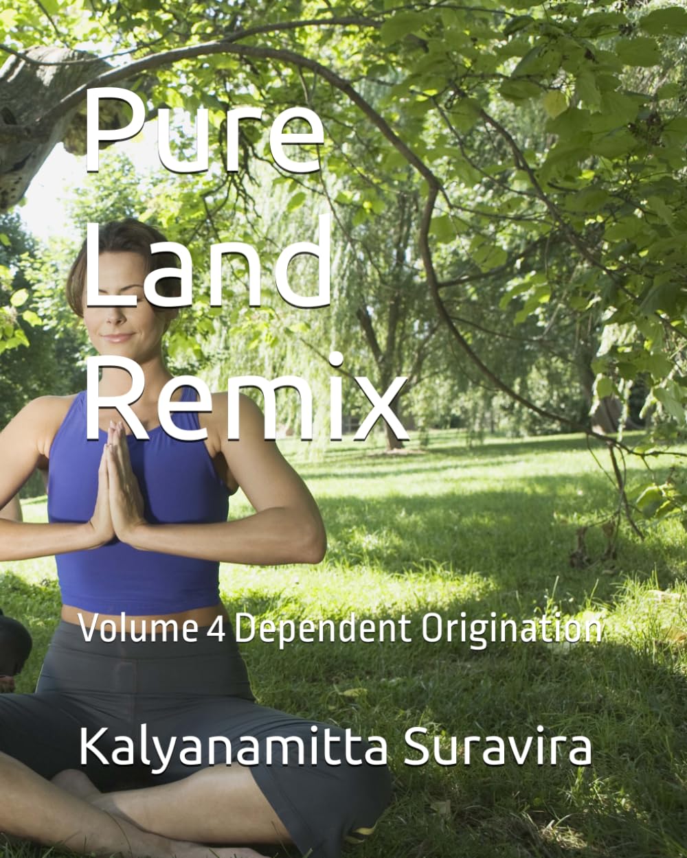 Pure Land Remix: Volume 4 Dependent Origination