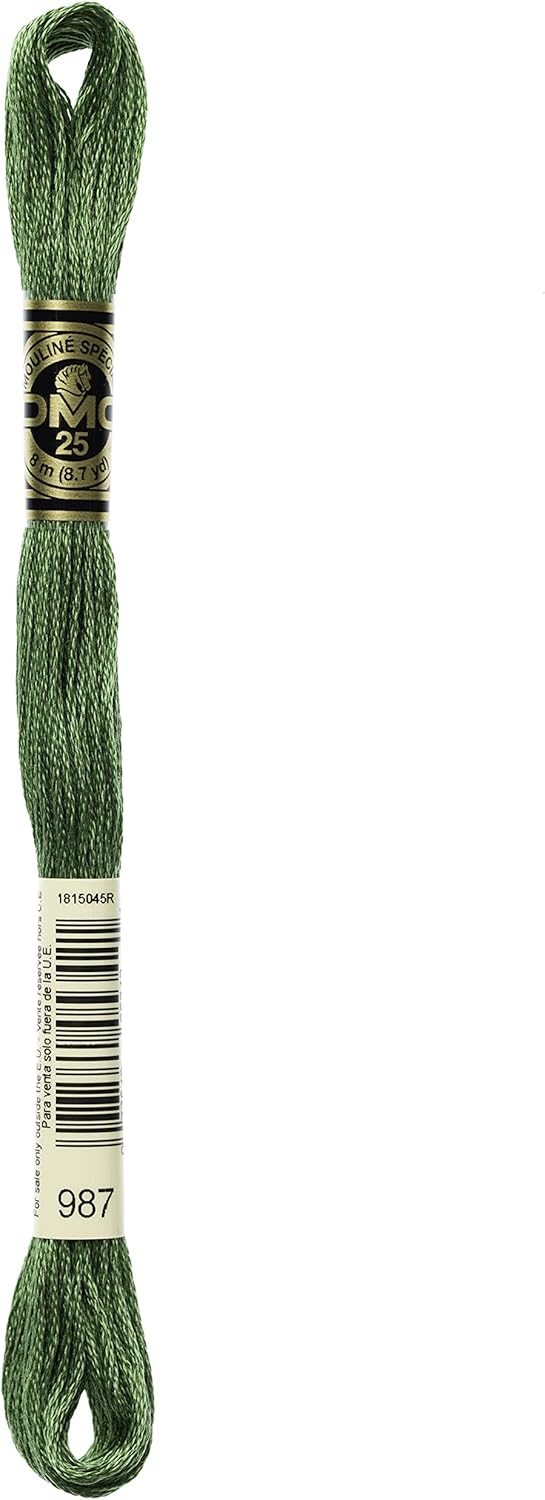 Dmc 6-Strand Embroidery Cotton 8.7yd-Dark Forest Green