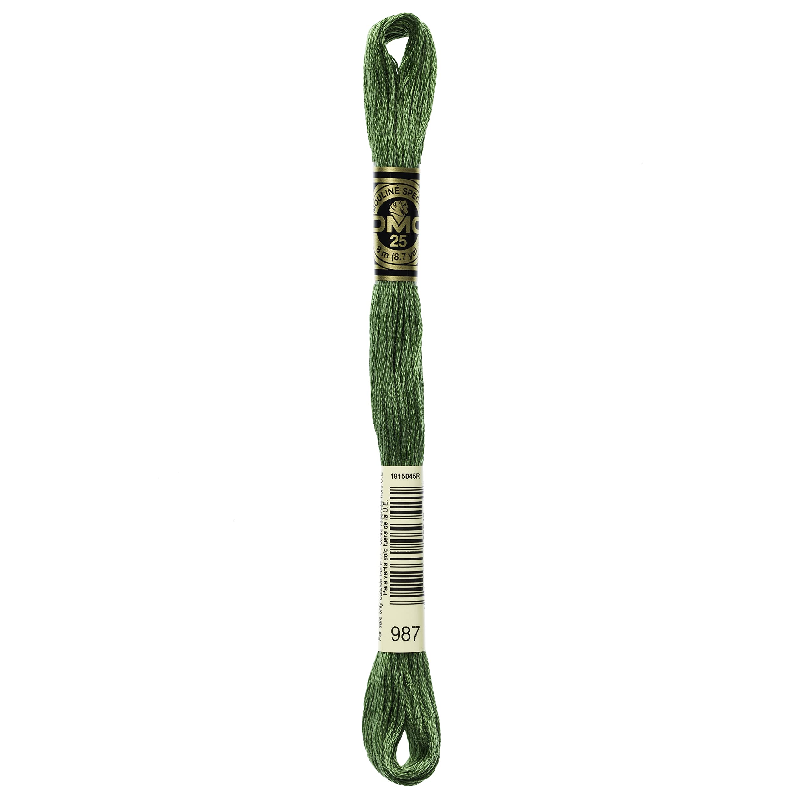 DMC 6-Strand Embroidery Cotton Floss, Dark Forest Green