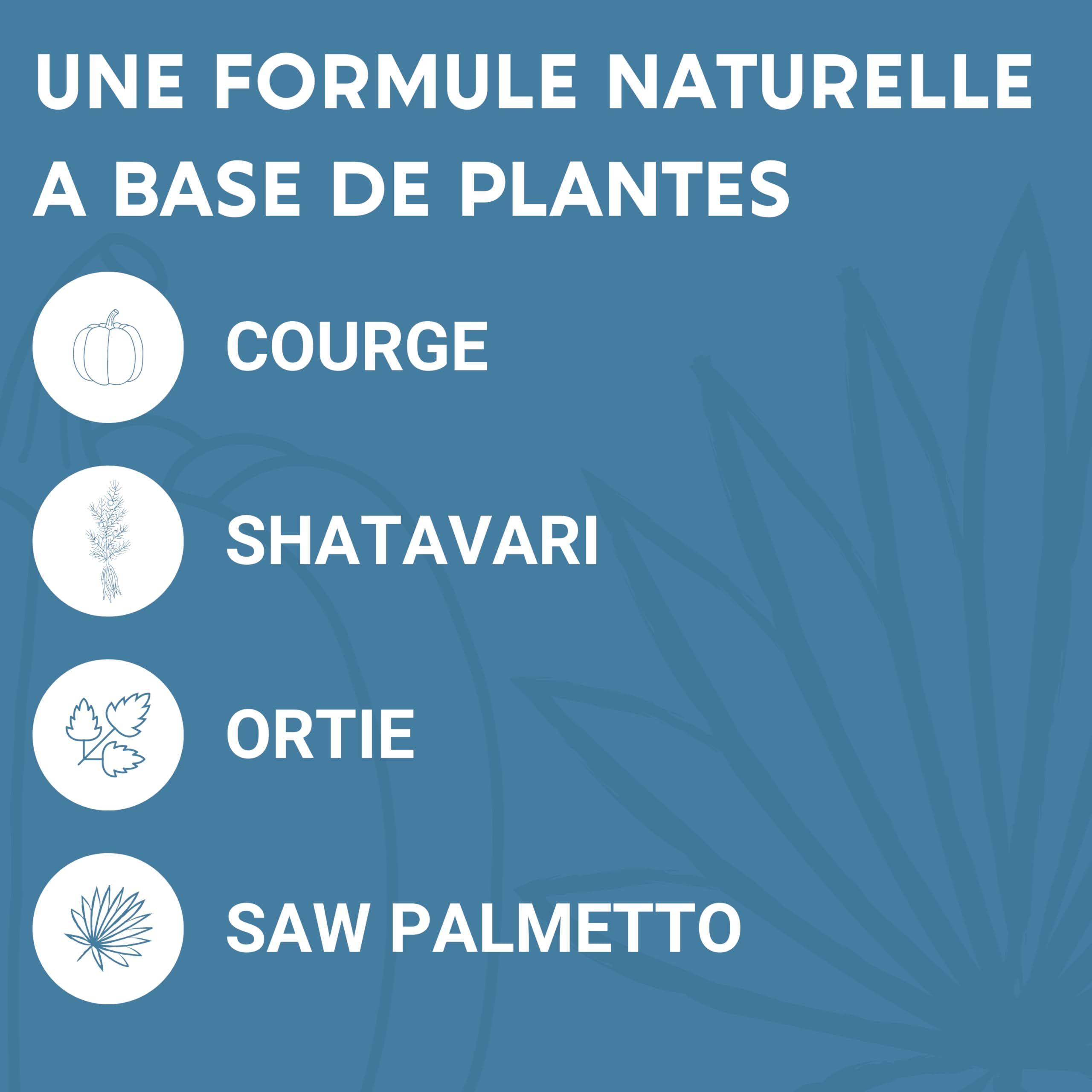 FORMULE PROSTATE | Courge, Saw Palmetto, Ortie, Shatavari | Rétention, Débit, Fréquence | 60 Gélules | Fabriqué en France | Complement alimentaire
