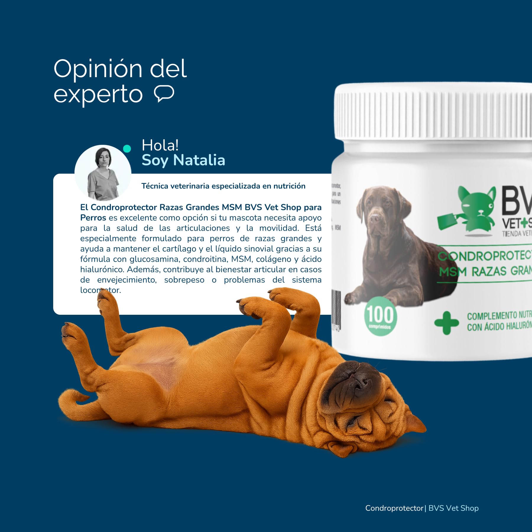 Condroprotector Razas Grandes MSM para Perros 150 Comprimidos