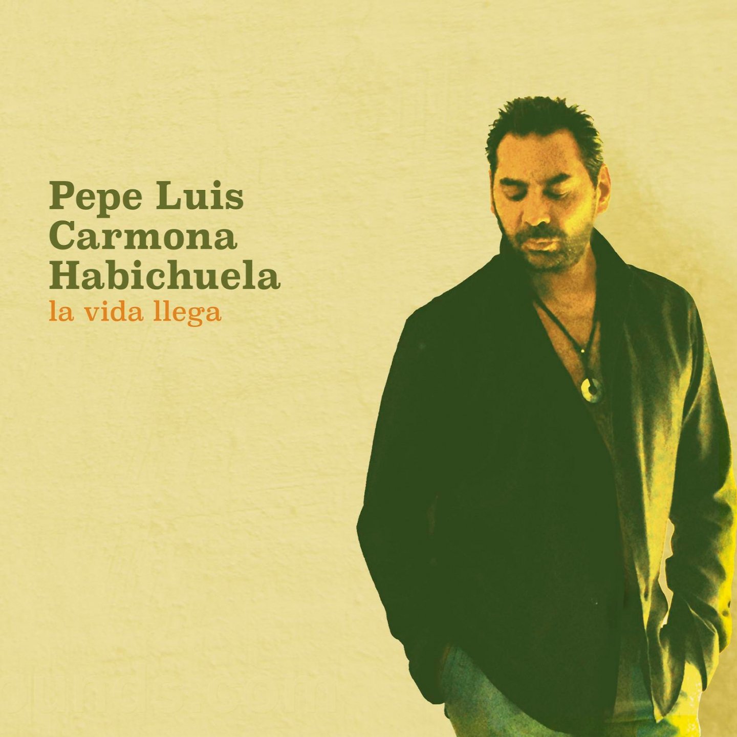 Pepe Luis Carmona Habichuela