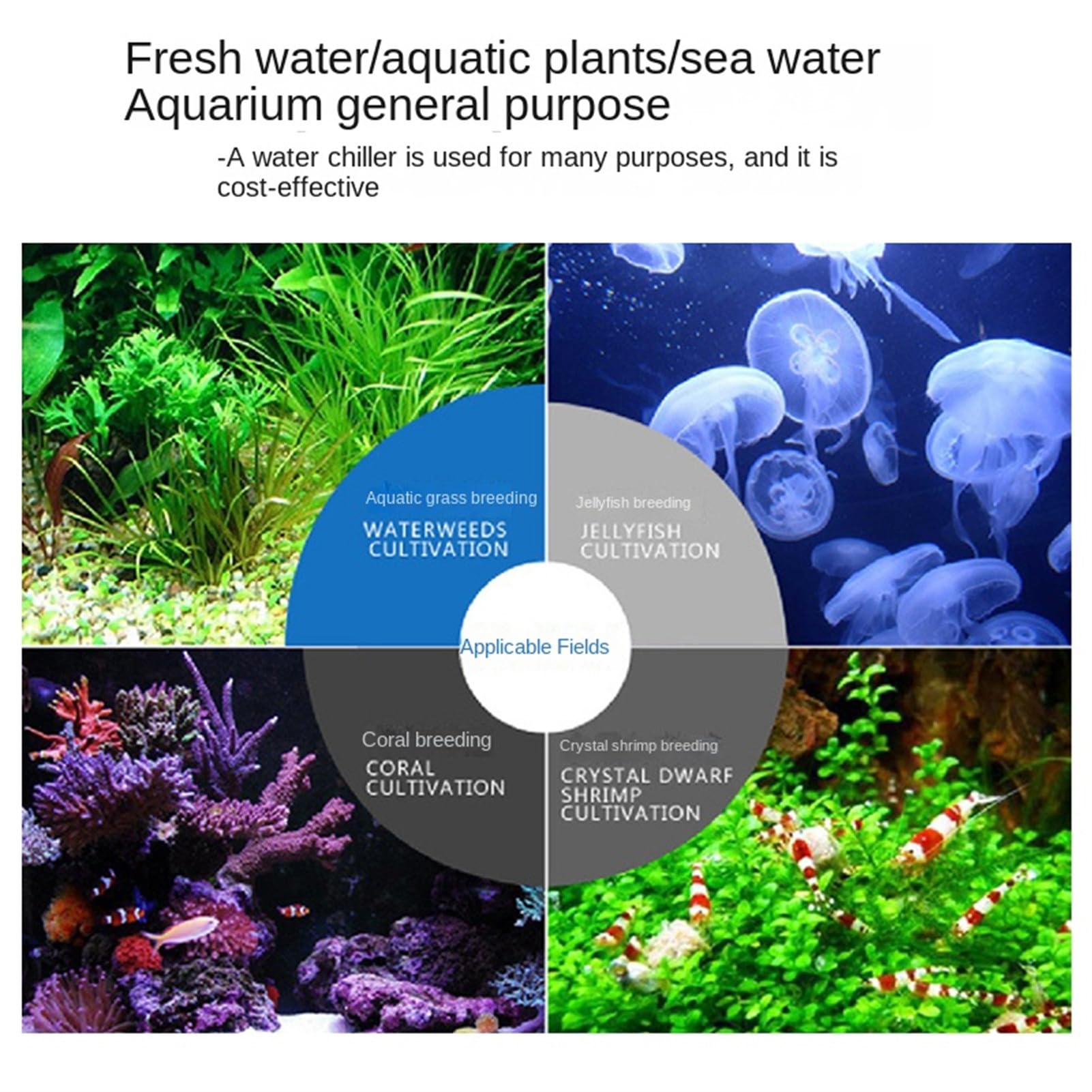 Enfriador de Agua de Acuario 160L Sistema de Calentador de Tanque de Peces 10-40 ℃ Dispositivo de Temperatura Constante 150W refrigeración sostenible