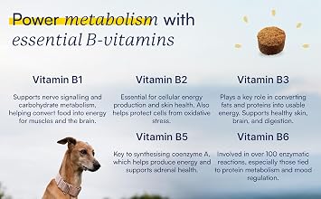 15-in-1 Multivitamin Chews for All Dogs, Support Metabolism with B Vitamins, Zinc, Biotin, Vitamin C & E, Bones & Muscle Recovery, Immunity Support - 60 Soft Chews, BROONO Vitamineral Complex