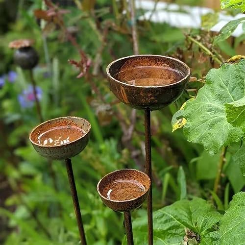 Jardin Attrape-Pluie Piquet