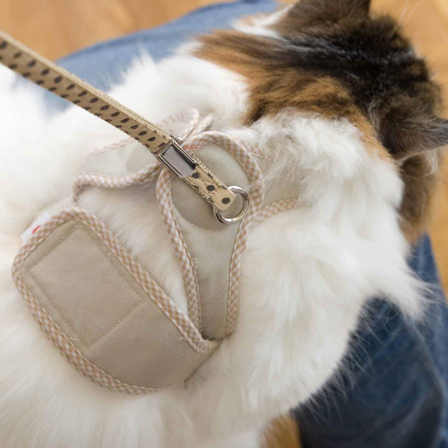 Amazon | 猫用ハーネス ダブルブロックタイプ Sサイズ ゴロにゃん