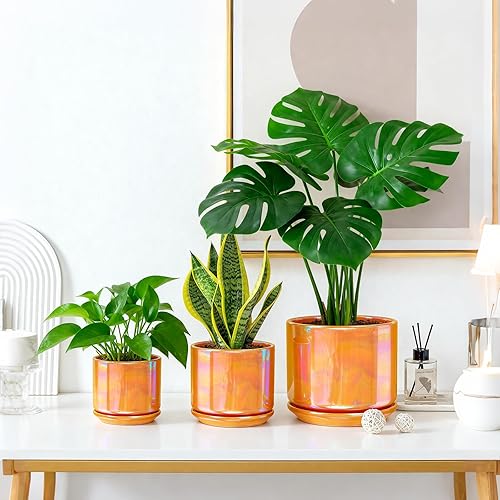 Miniatura 5 de EFISPSS Macetas de cerámica, macetas de cerámica de interior de 4+5+6 pulgadas para plantas con orificio de drenaje, para cactus suculentos, potos,