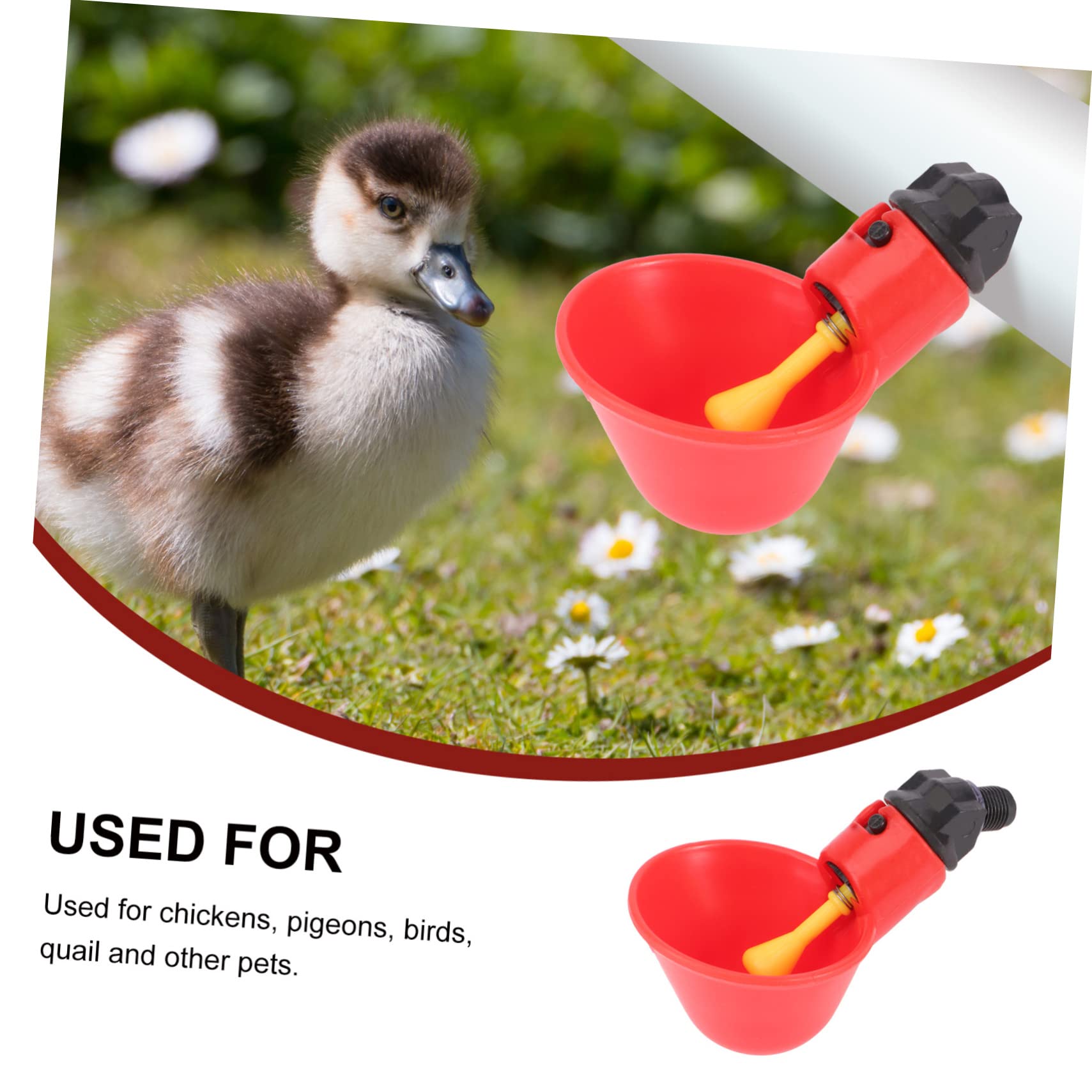 Abbeveratoio Automatico per Polli e Piccioni 30 Pezzi Abs Rosso | Dispensazione Acqua Automatica, Uso Sicuro e Pratico, per Allevamenti Avicoli Domestici e Commerciali