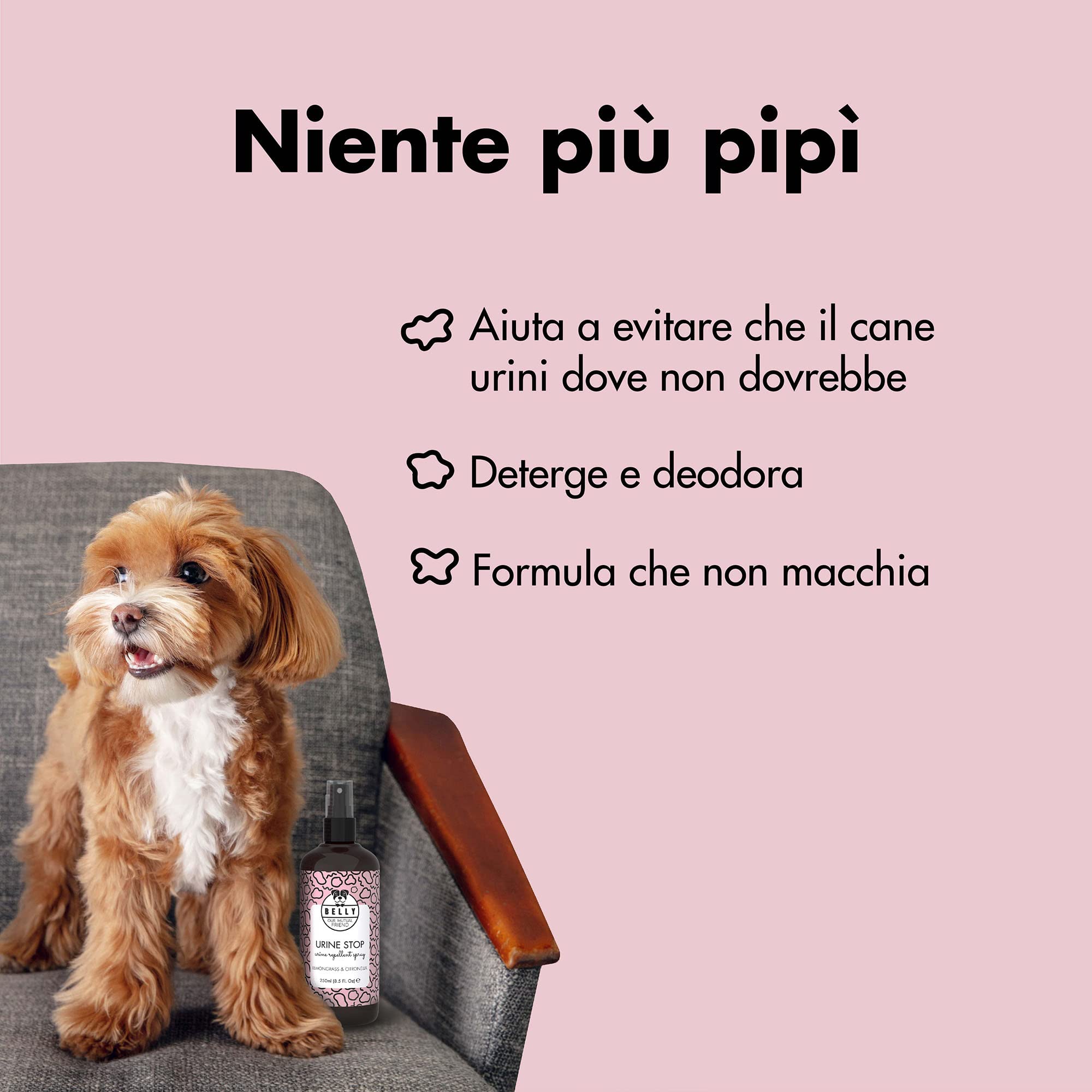 Belly Spray Disabituante per Cani da Interno - Disabituante per Cani da Esterno - Dissuasore per Pipi Cani, per Tutte Le Superfici - Elimina Odori Pipi Cane - Spray Disabituante Cani Educativo, 250ml