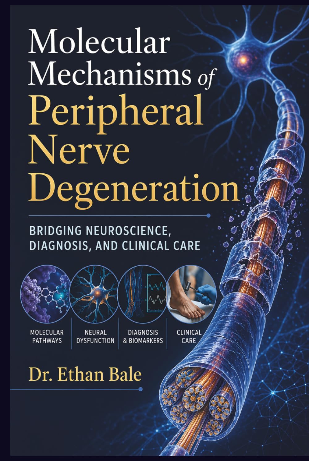 Molecular Mechanisms of Peripheral Nerve Degeneration: Bridging Neuroscience, Diagnosis, and Clinical Care
