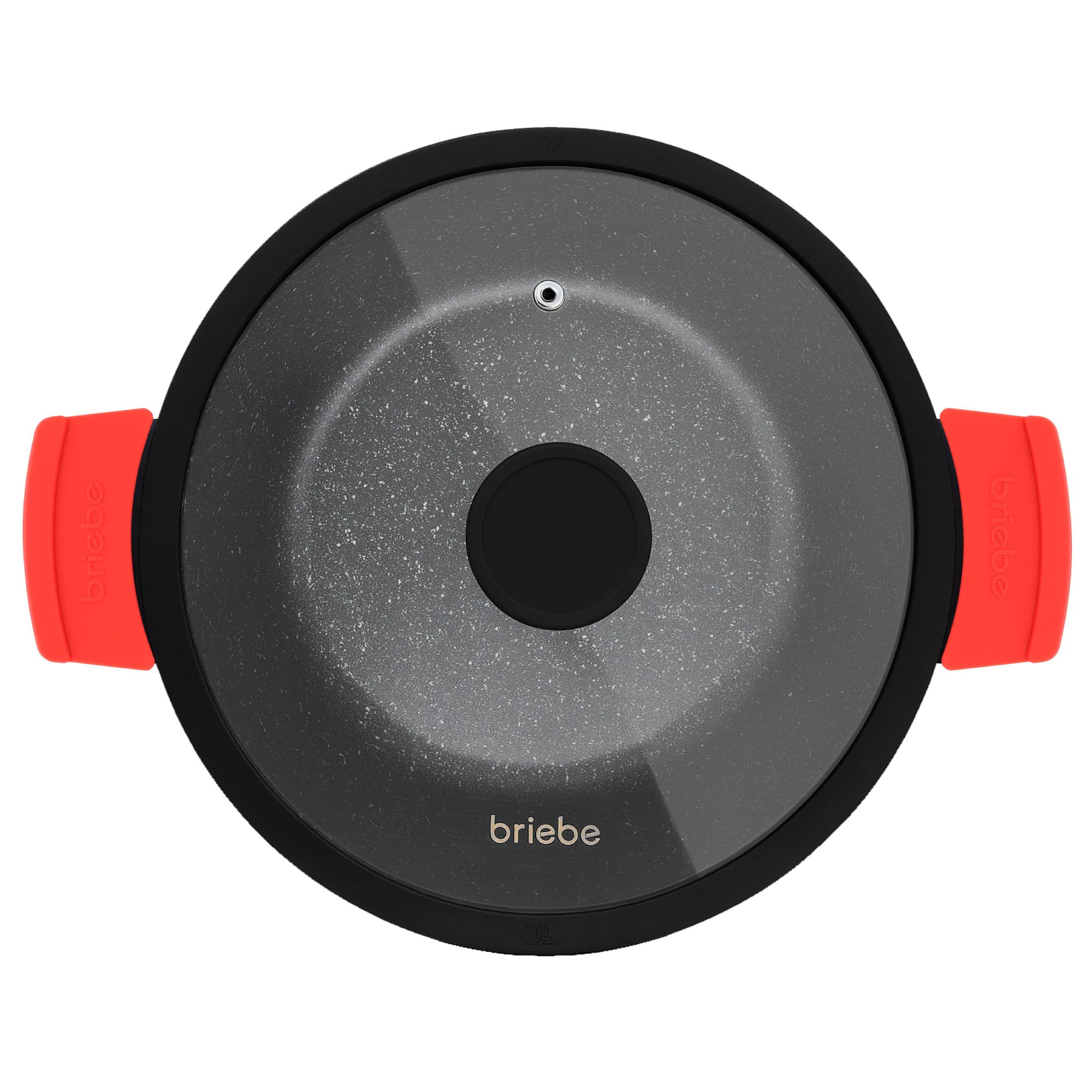 briebe Black Titanium Faitout Basse Induction Antiadhésif Titane, Casserole 24cm, Fonte d'Aluminium, Revêtement sans PFOA, Couvercle en Verre, Poignées Silicone, Vitrocéramique, Gaz, Four