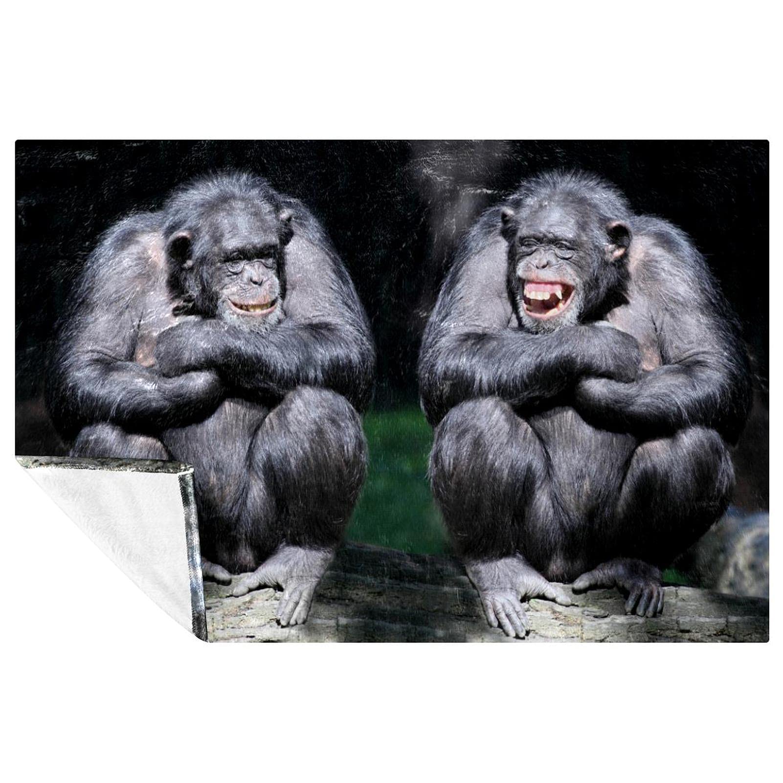 Couverture chimpanzé polaire : le plaid chaud idéal pour vos soirées cocooning et camping
