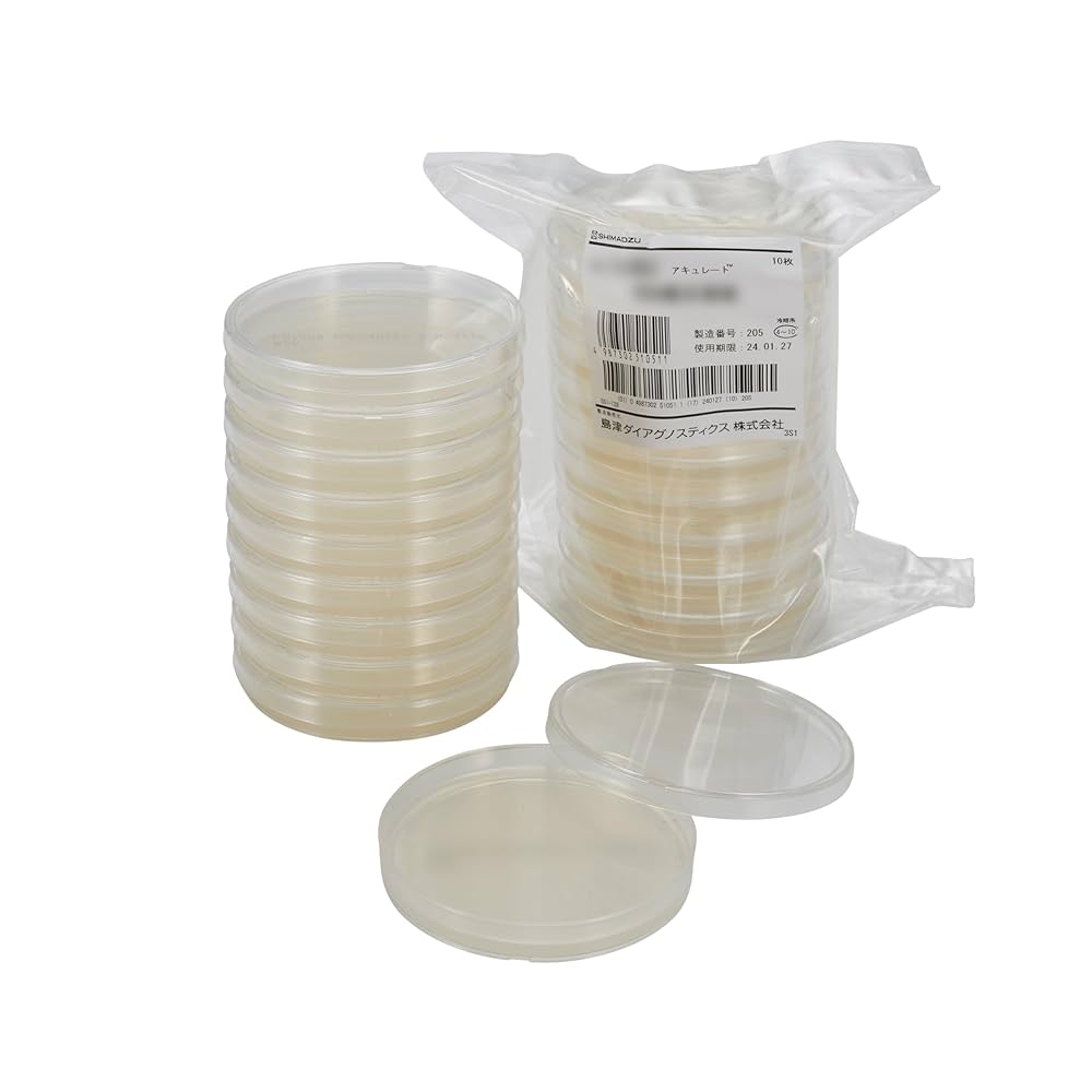 天地転世 ユムカアシュ 3コンセット 菌樹 天地転世/ユム