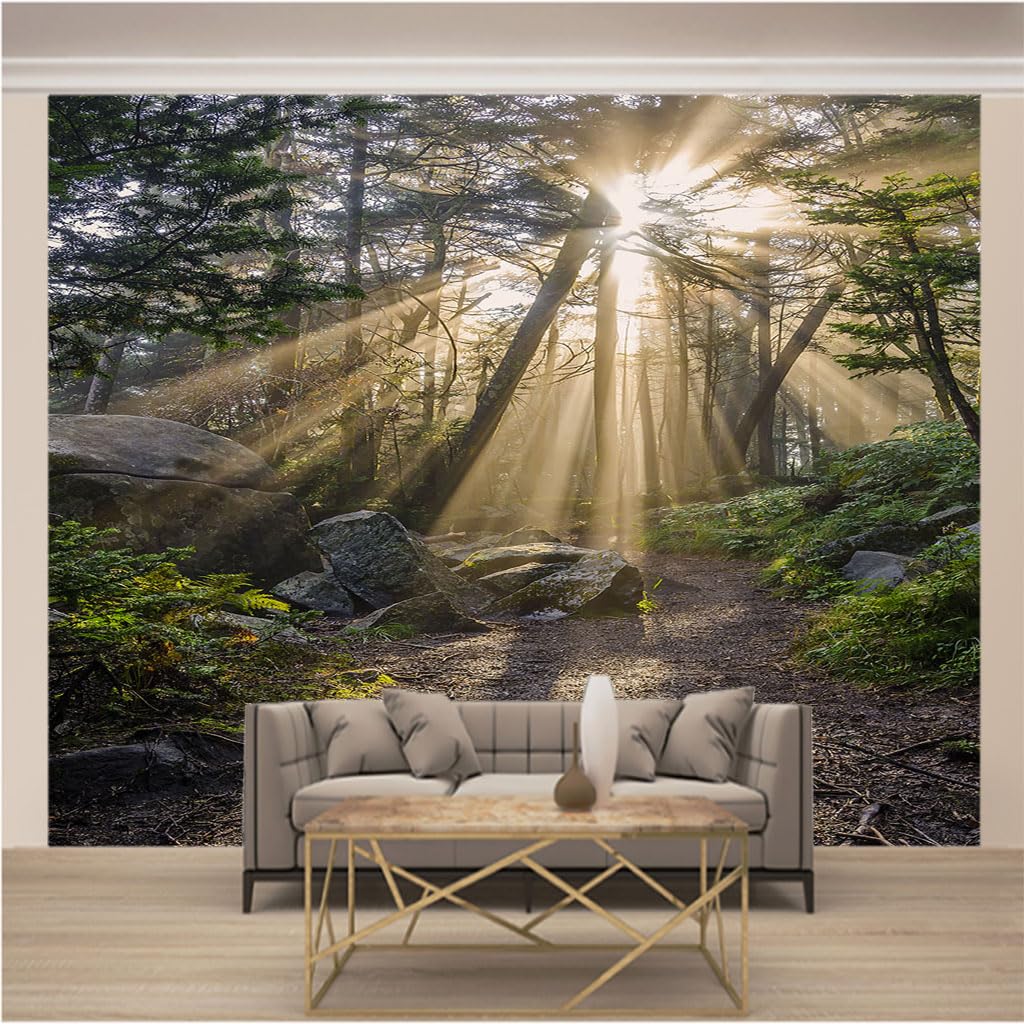 Papier peint intissé trompe l'oeil forêt ensoleillée décoration XXXL