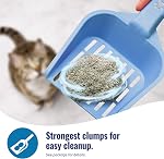 Cat's Pride Fresh et légère fragrance haut de gamme sans scoopable chat litter jug, 15-Pound