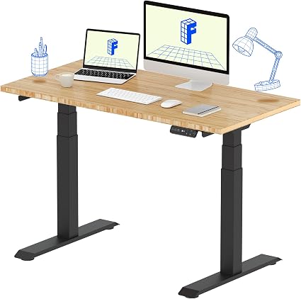 FlexiSpot E7 Pro electric standing desk (48x24 bamboo top, black frame)