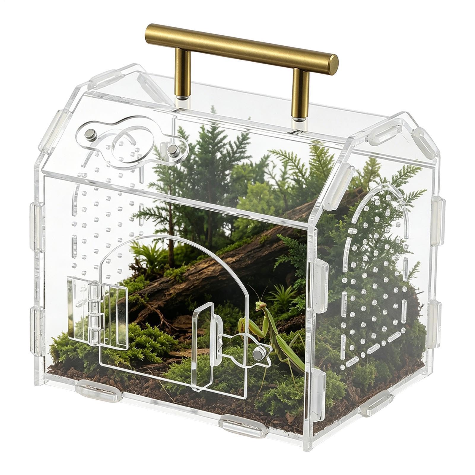 Habitat pour reptiles anti-évasion avec poignée pour le transport de scorpion