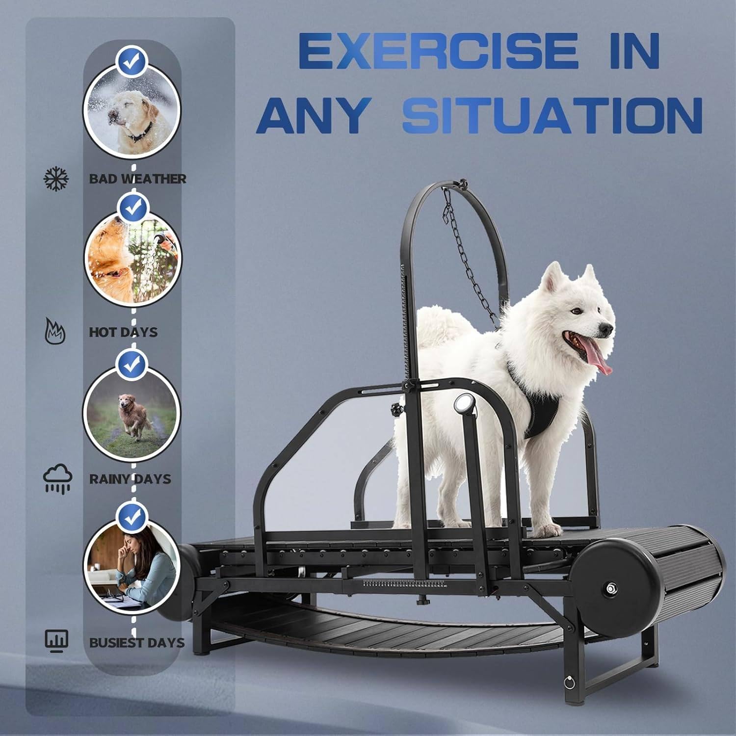 Cinta de Correr para Perros medianos, máquina de Correr para Perros, Equipo de Ejercicio para Perros Grandes, para Interiores y hogares