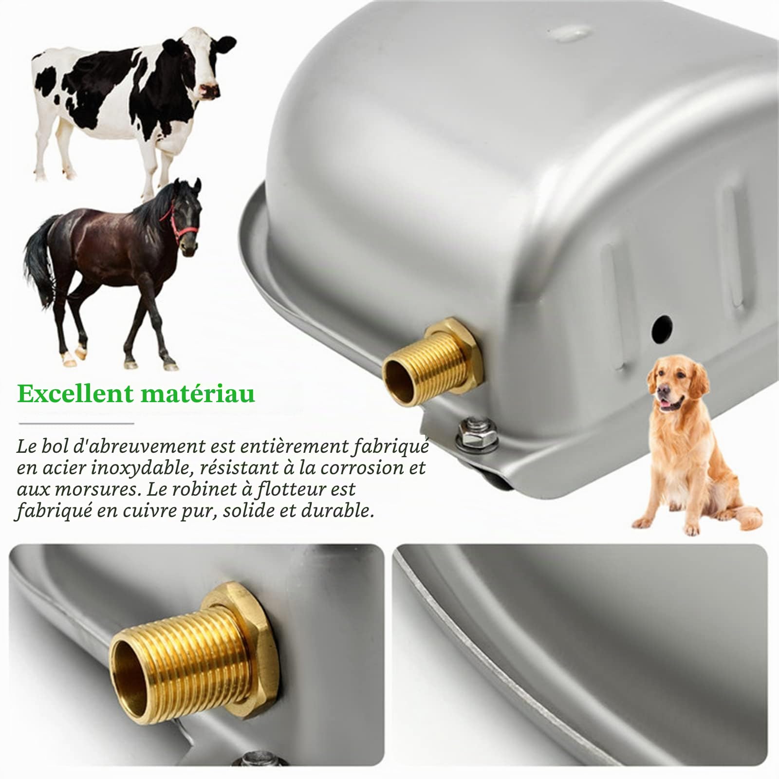 Abreuvoir Flotteur en Acier Inoxydable avec Valve Flottante pour bovins, Chevaux, chèvres, Moutons, buveurs, Outils d'élevage d'animaux
