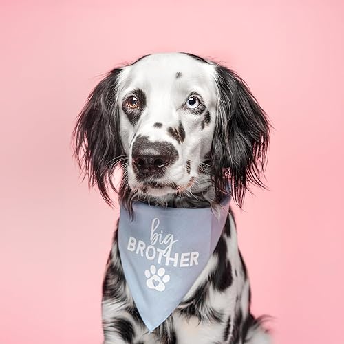 Miniatura 2 de Big Brother with Heart Paw Gender RevealBaby Announcement Dog Bandana (Baby Pink, OS 87)