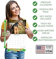 Vista 1065 de Razas de Perros 2017