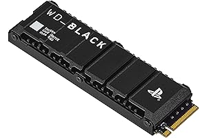 4TB SN850P NVMe M.2 SSD Official PS5 Expansion Drive