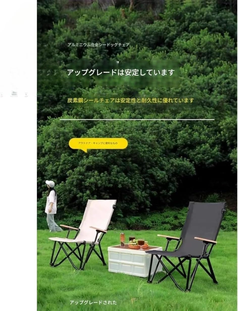 スノーピーク　アウトドアチェア Amazon.co.jp: スノーピーク(snow peak)野遊びセット ローチェア