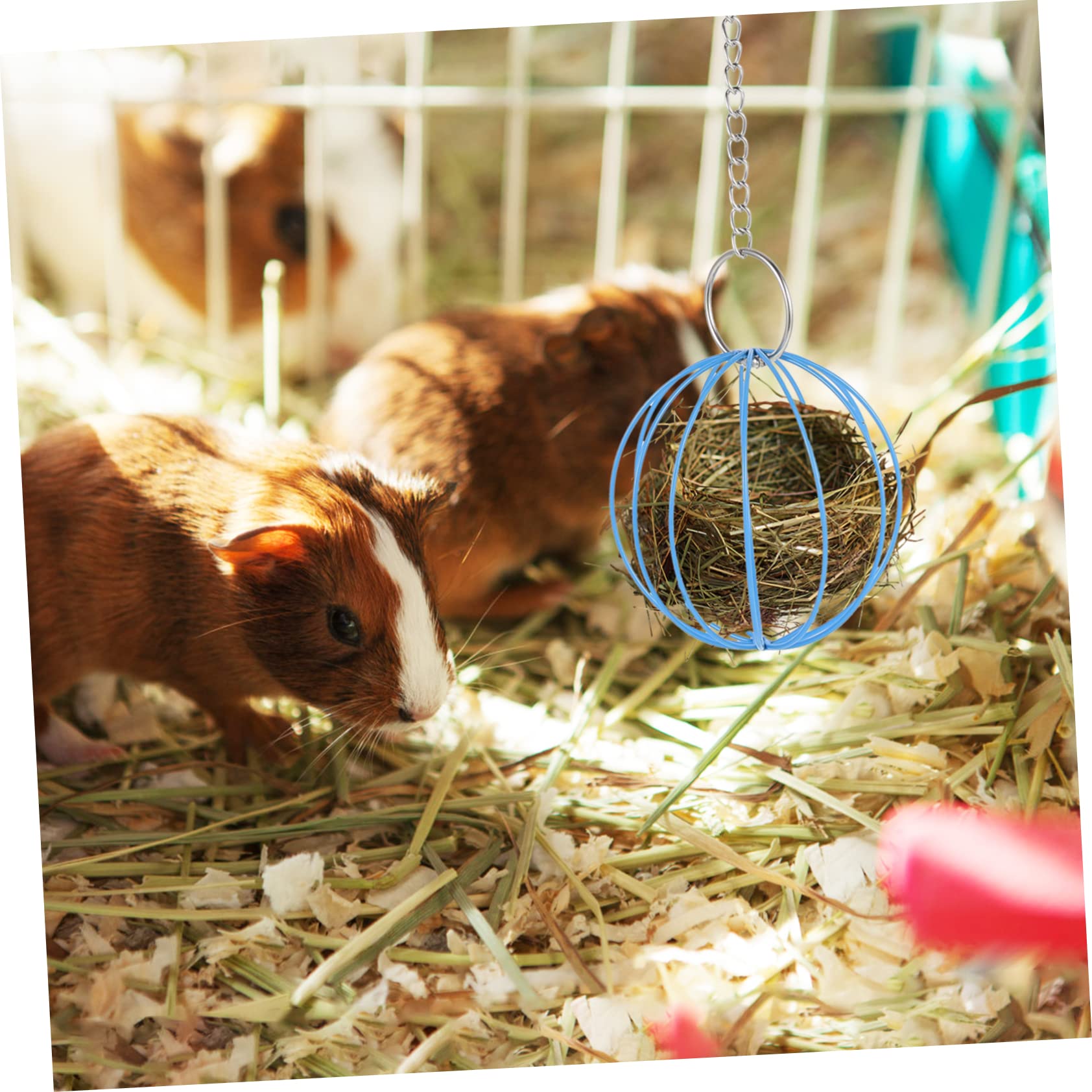 Supvox 10stücke Hängende Futterbälle Für Kleintiere Für Kaninchen Und Meerschweinchen Konstruktion Platzsparend Bunte Designs Für Spiel Und Futteraufnahme