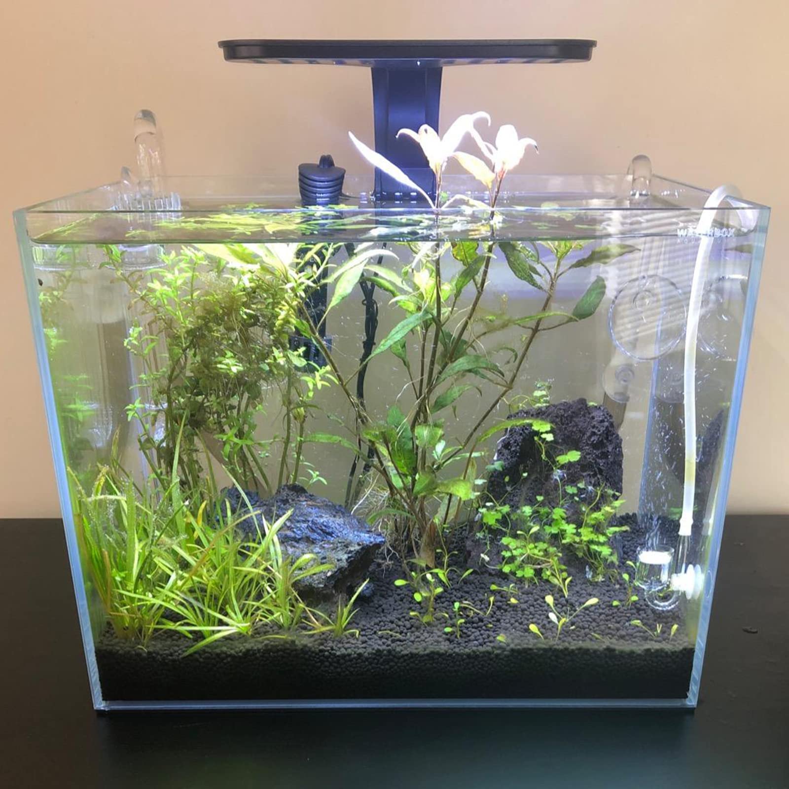 Glaslilien-Rohrzuflussset, Wasserzufluss mit Oberflächenskimmer für Aquarien, Pflanzentanks, Aquascaping, 17 mm für 16/22 mm (5/8 Zoll) Innendurchmesser