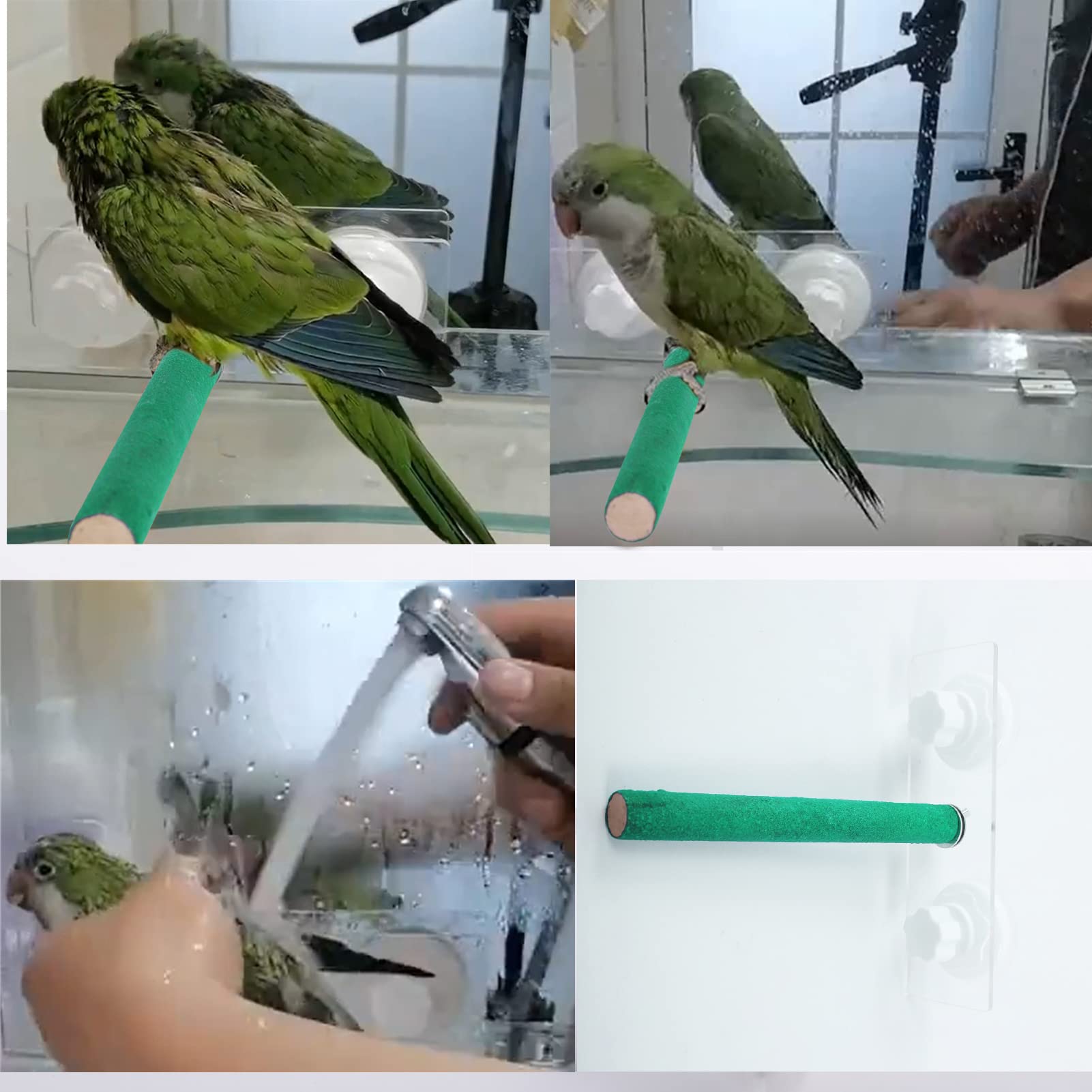 Bird Shower Perch Stand Parrot Frosted Surface Bath Perch with Suction Cup for Home Outdoor Window Glass Birdcage Parakeet Cockatiel - image 6