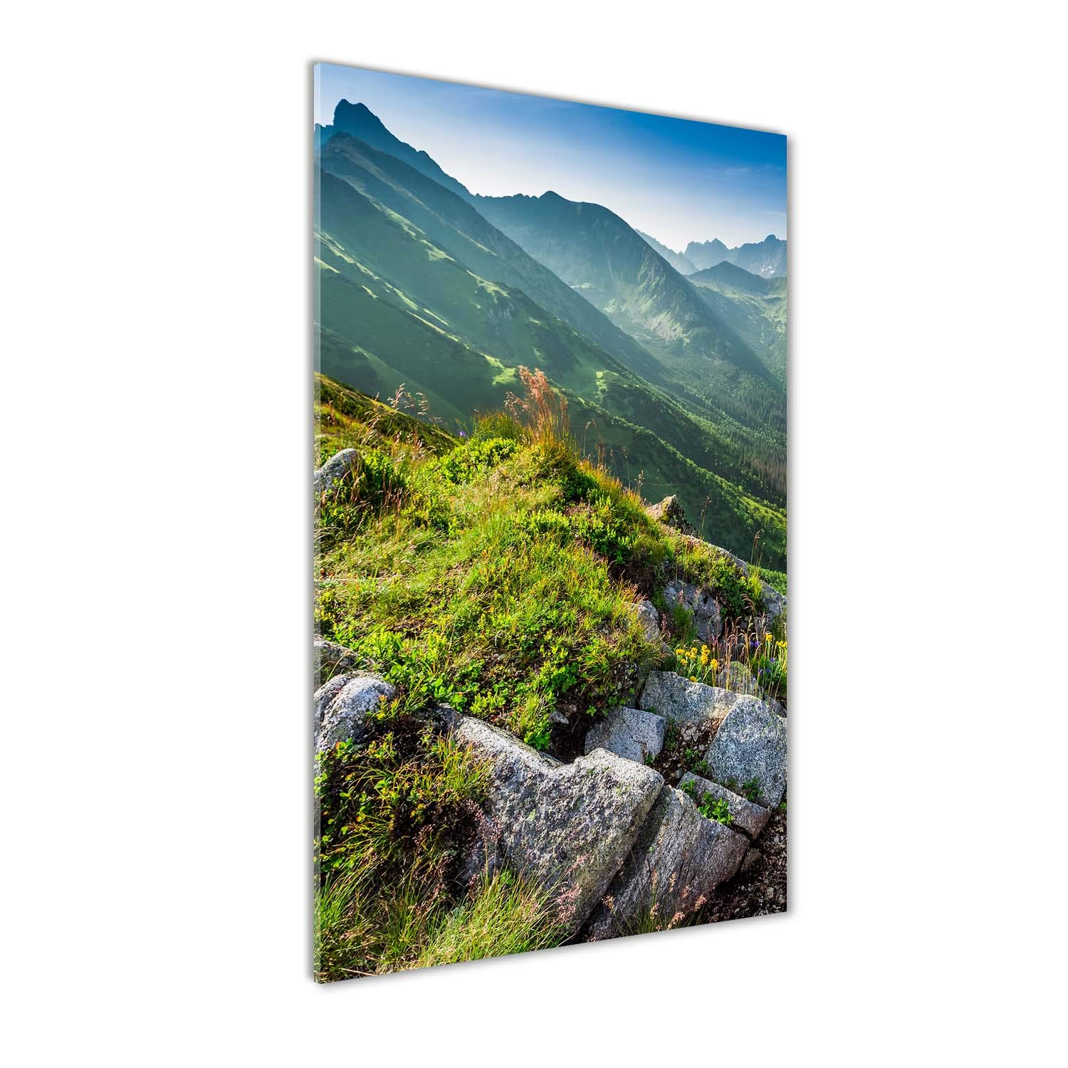 Tableaux pour la mur Tulup en verre acrylique 60x120 cm paysage montagnes en été