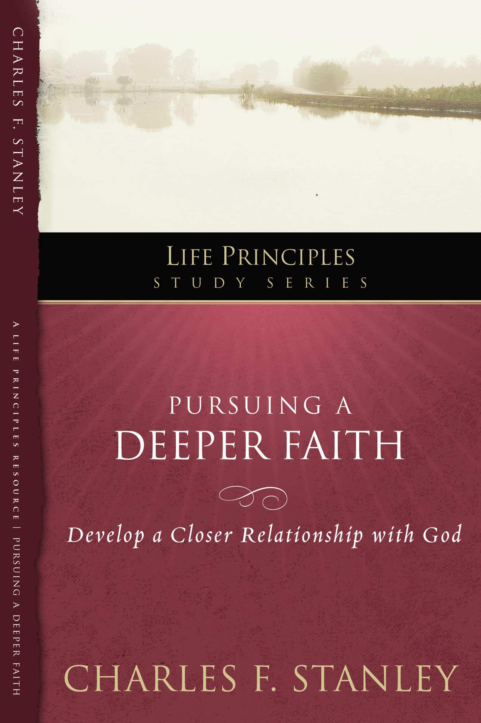 Pursuing a Deeper Faith: Develop a Closer Relationship with God: 19 (Life Principles Study Series)
