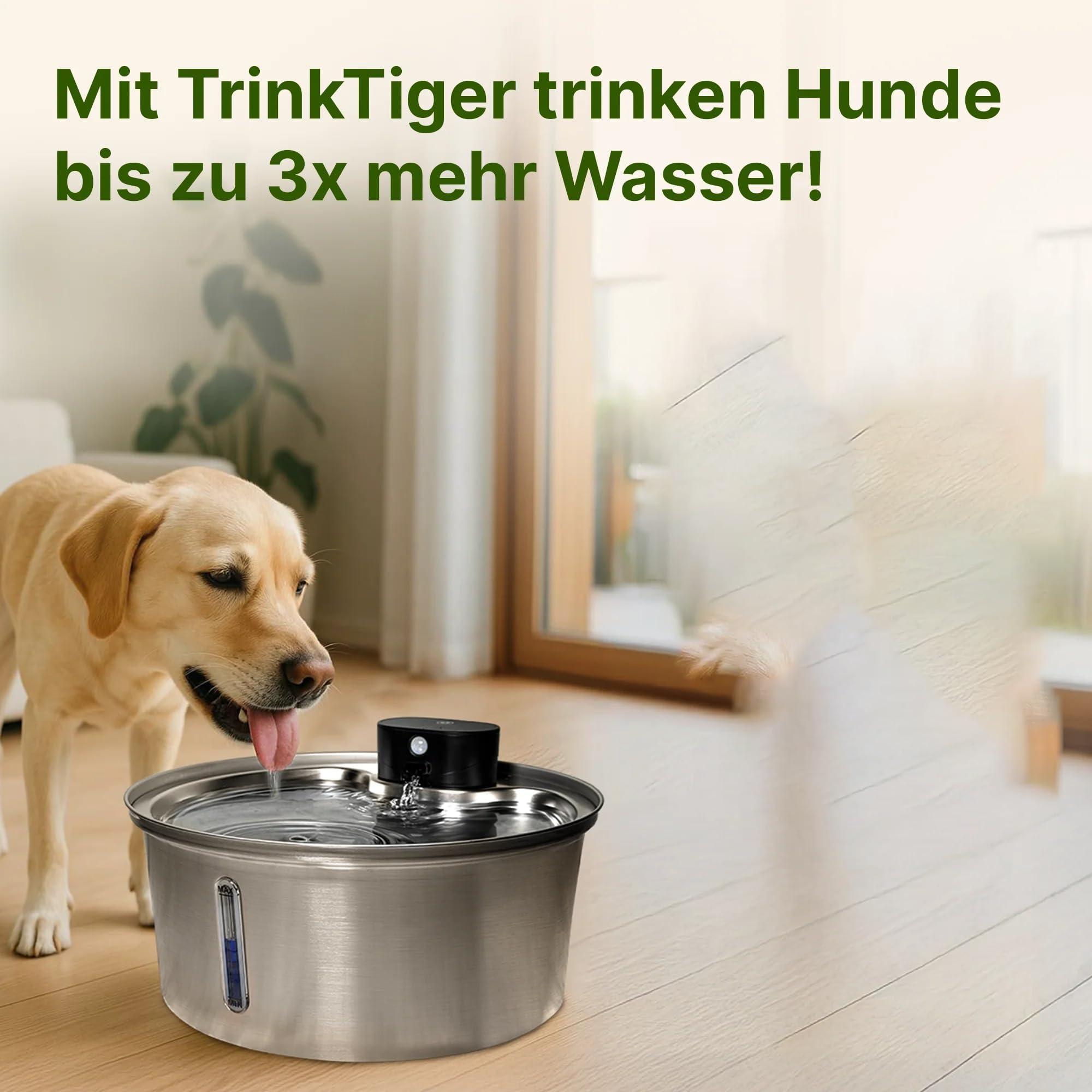 NordFlow 2.0 hundebrunnen kabellos 3,2L Kabellos Katzenbrunnen mit 5000mAh Batterie, Sensor, LED und Filter - Trinkbrunnen für Katze